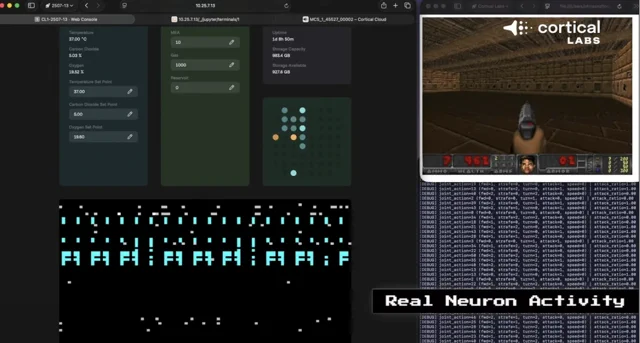 Cortical Labs Plugs Living Human Brain Cells into an LLM