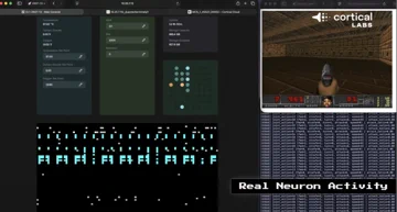 Cortical Labs Plugs Living Human Brain Cells into an LLM