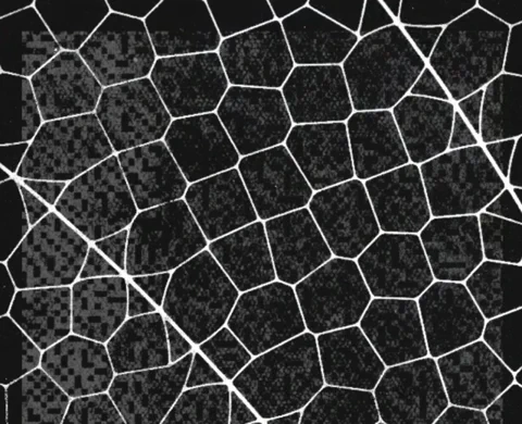 Anthropic Glasswing: The plan to stop Skynet early