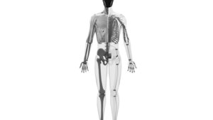 Clone Robotics: Building Sweaty Robots, One Muscle at a Time