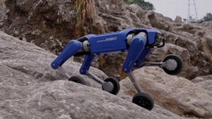 DOBOT's £900 Rover X1: Robot Dog for Everyone?