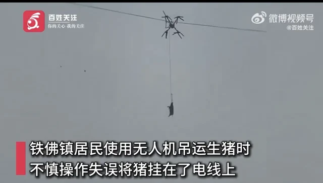 When Pigs Fly: Drone Airlift Blunder Cuts Power to Village
