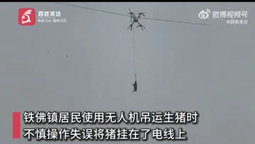 When Pigs Fly: Drone Airlift Blunder Cuts Power to Village