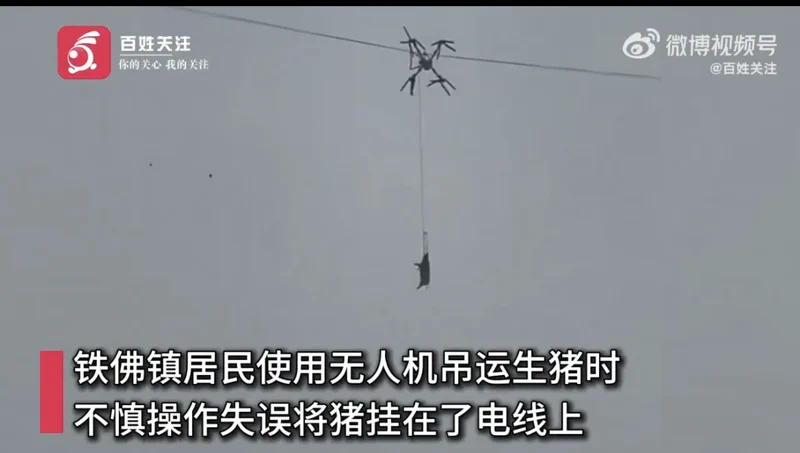 When Pigs Fly: Drone Airlift Blunder Cuts Power to Village
