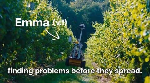 Ex-Googler's Robot 'Emma' Hunts for Stealthy Viruses in Vineyards