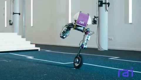 Meet Roadrunner: The Bipedal Robot That Skates and Steps