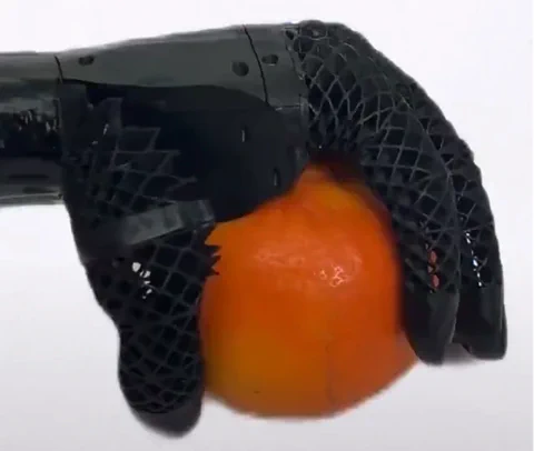 This $484 Bionic Hand Lifts 5.5 Pounds, Upending the Market