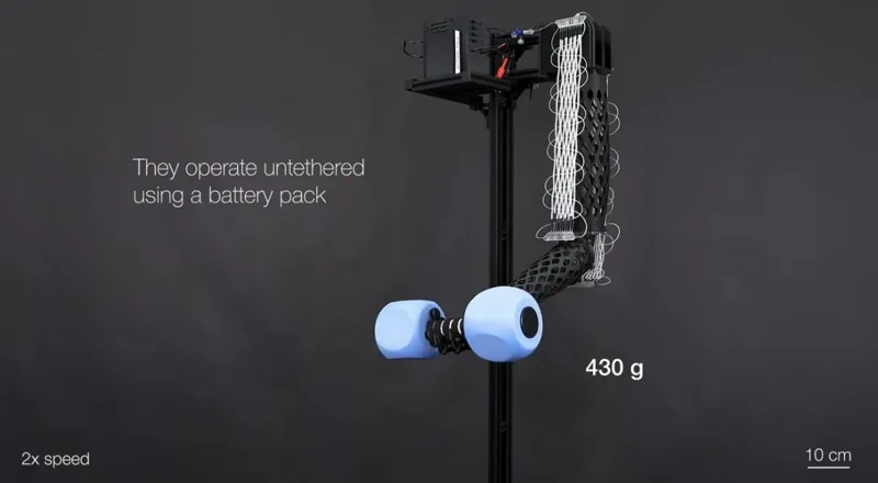 Washable Muscle Fibre Lifts 200x Its Own Weight