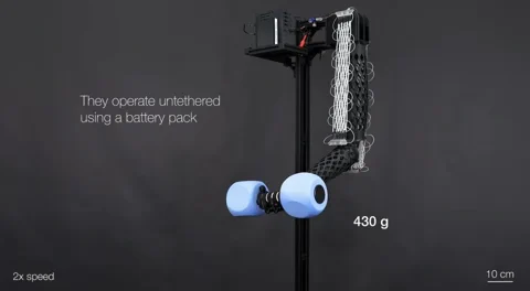 Washable Muscle Fibre Lifts 200x Its Own Weight