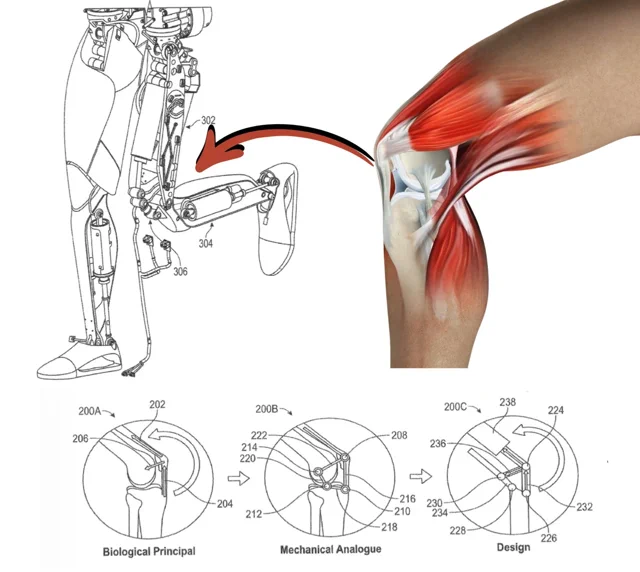 Tesla's Optimus Knee Patent Is More Human Than You Think