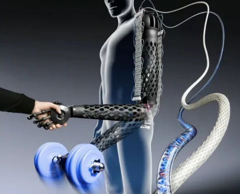 MIT's Spaghetti-Thin Robot Muscles Lift 250x Their Own Weight