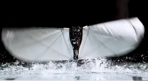 MIT New Robot Bird Flies, Swims, and Leaps From Water