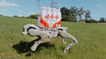 AgiBot Unleashes Trio of Quadruped Robots