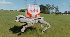 AgiBot Unleashes Trio of Quadruped Robots