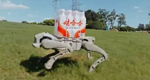 AgiBot Unleashes Trio of Quadruped Robots