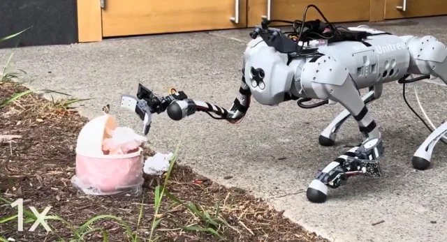 Quadrupeds Master Manipulation with Human2LocoMan