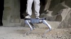 Unitree A2: The Stellar Hunter Redefining Robotics