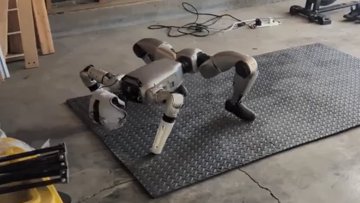 Unitree G1 Humanoid Forgets How to Walk