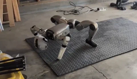 Unitree G1 Humanoid Forgets How to Walk