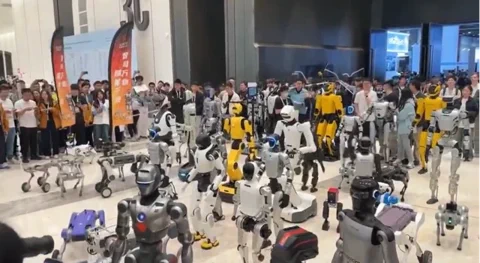 Chinese Robots Shine at IROS 2025
