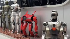 Shenzhen Robot Store Features Kung Fu Bots
