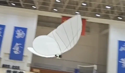 Bionic butterfly: unsettlingly real