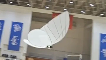 Bionic butterfly: unsettlingly real