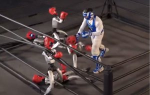 Robot 'Fight Club' Has Just One Rule