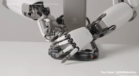 ALLEX Robotic Hand: Delicate, 15-DOF Touch