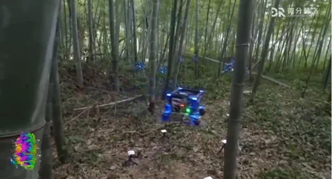 Zhejiang Uni Drones Navigate Dense Forest Autonomously