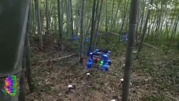 Zhejiang Uni Drones Navigate Dense Forest Autonomously