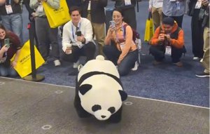 AGIBOT's Panda Robot Does Backflips. Seriously.