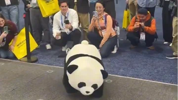 AGIBOT's Panda Robot Does Backflips. Seriously.