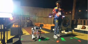 PrimeT1 Robot: Bipedal or Quadruped? It Decides!