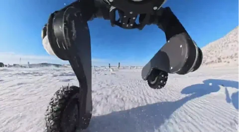 Deep Robotics M20: Drifting Through -30°C Snow Like a Pro