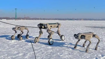 Genisom’s Robots Are Better at Winter Sports Than You