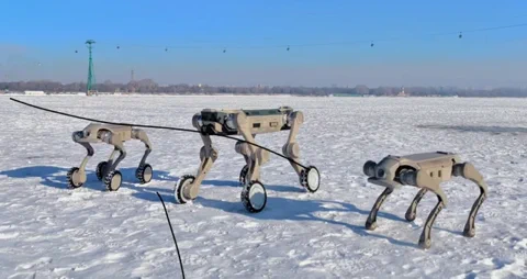Genisom’s Robots Are Better at Winter Sports Than You