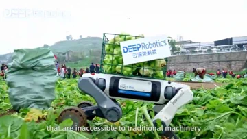 Meet the High-Tech Robo-Dog Shifting Cabbages for a Living