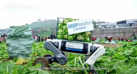 Meet the High-Tech Robo-Dog Shifting Cabbages for a Living