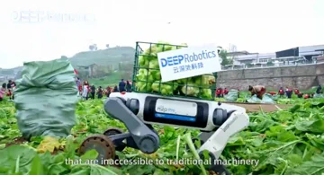Meet the High-Tech Robo-Dog Shifting Cabbages for a Living