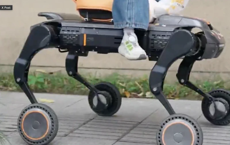 Unitree B2 Robot Dog Carries Child to School