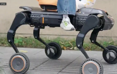 Unitree B2 Robot Dog Carries Child to School