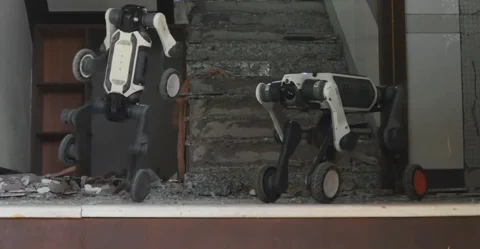 Deep Robotics Lynx S10 is a Tiny Terror on Four Wheels